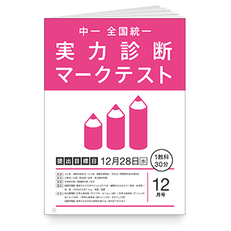 実力診断マークテスト