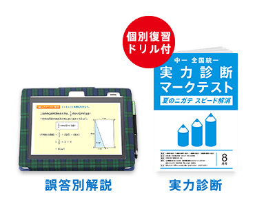完全個別のニガテ対策