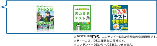 ニンテンドーDSは任天堂の登録商標です。※ディーエス/DSは任天堂の商標です。※ニンテンドーDSシリーズ本体はつきません。※特典のため、代替品のご用意はありません。