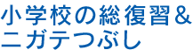 小学校の総復習&ニガテつぶし