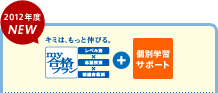 2012年度NEW 個別学習サポート