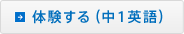 �̌�����i���P�p��j
