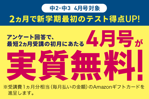 新品 新品 きみだけのメールパソコン 電池付 こどもちゃれんじ進研ゼミ