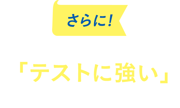 さらに！進研ゼミのテストに強い理由がわかる資料もお届け！