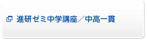 赤ペン 提出カメラ 進研ゼミ