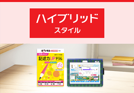 ハイブリッドスタイル