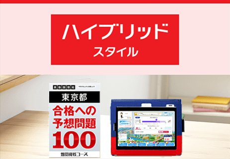 ハイブリッドスタイル
