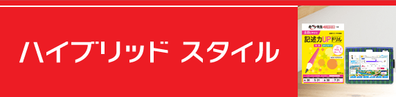 ハイブリッドスタイル