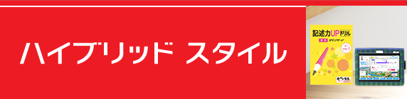 ハイブリッドスタイル