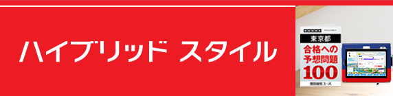 ハイブリッドスタイル