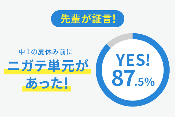 中一講座 進研ゼミ中学講座 中ゼミ