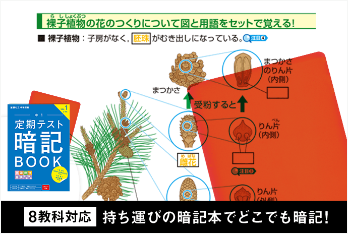 8教科対応様々な暗記法で暗記教科も攻略！