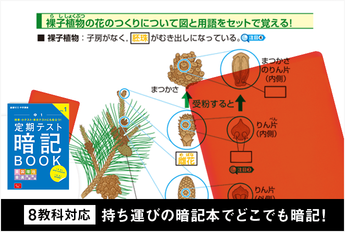 8教科対応様々な暗記法で暗記教科も攻略！