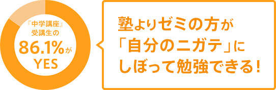 塾よりゼミの方が「自分のニガテ」にしぼって勉強できる!