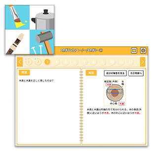 実技教科暗記アプリ