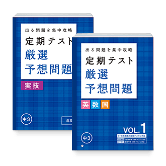 定期テスト 厳選予想問題