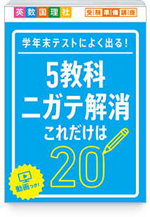 5教科ニガテ解消これだけは20