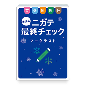 冬休みニガテ最終チェックマークテスト