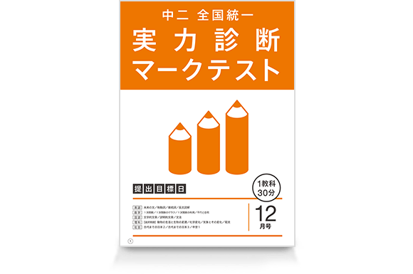 中二 全国統一 実力診断マークテスト