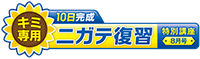 キミ専用 10日完成ニガテ復習特別講座