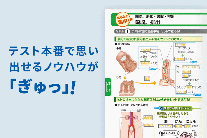 テストでしっかり思い出せる！