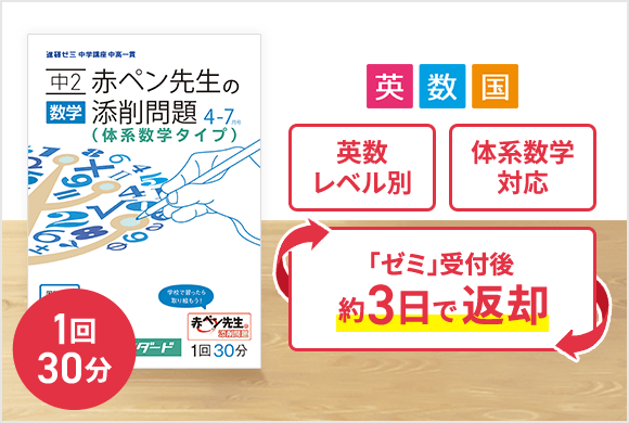 赤ペン先生の添削問題