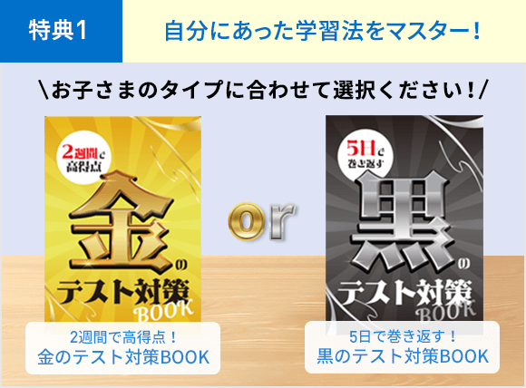 中2 進研ゼミ中学講座　チャレンジ　ベネッセ　国語　数学　社会　理科　英語　自習 中2コース登録｜進研ゼミ中学講座（中ゼミ）