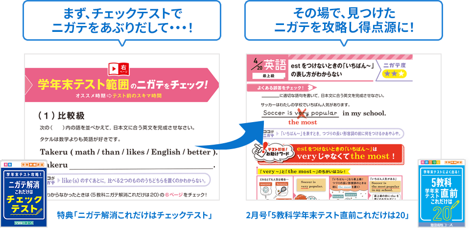 ニガテ解消これだけはチェックテスト