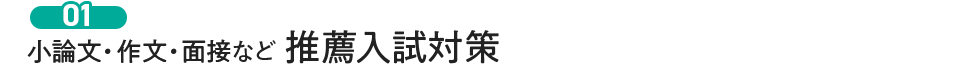 小論文・作文・面接など推薦入試対策