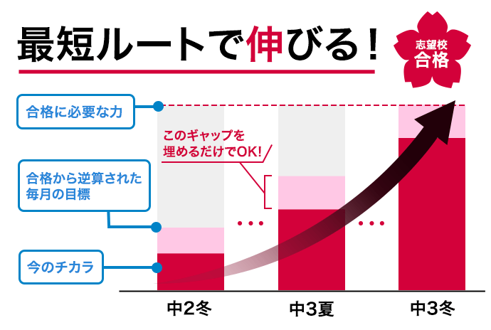 新品　未開封　進研ゼミ　中学生講座　高校受験　東京都 新品 未開封 進研ゼミ 中学生講座 高校受験 東京都 新品 未開封 進