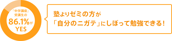 塾よりゼミの方が「自分のニガテ」にしぼって勉強できる!