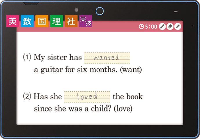英数国理社実技