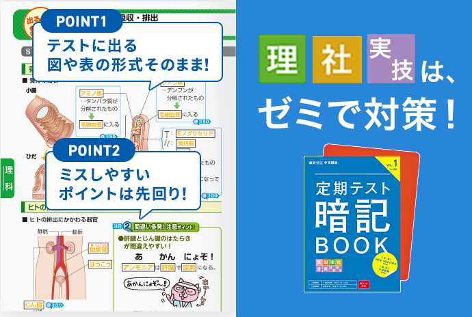 塾で学んでいない教科をゼミで補完して成績UP！