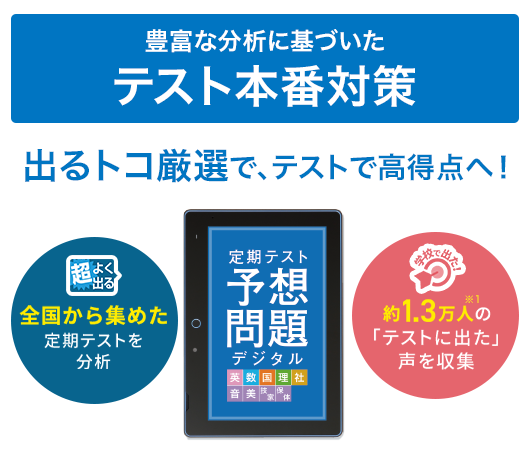豊富な分析に基づいたテスト本番対策