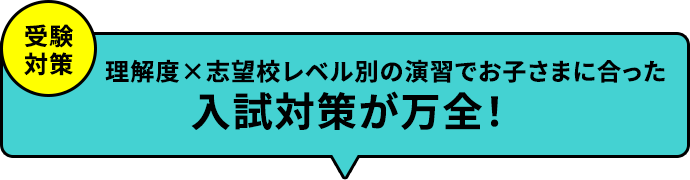 理解度×志望レベル別の演習でお子さまにあった入試対策が万全！