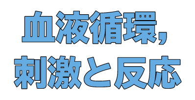 血液循環，刺激と反応
