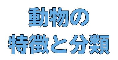 動物の特徴と分類