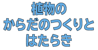 植物のからだのつくりとはたらき