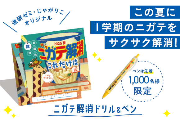 進研ゼミ　中学2年生 セット まとめ売り 送料無料 匿名配送 チャレンジ 進研ゼミ 中学2年 中2 チャレンジ 中学生 12月 1月 2月｜Yahoo