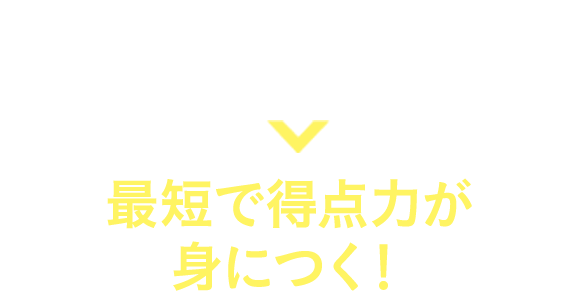 おさえたいポイントだけに厳選。だから！