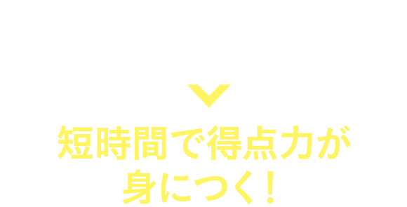 おさえたいポイントだけに厳選。短時間で得点力が身につく！
