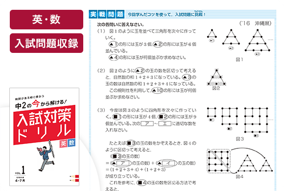 進研ゼミ 中学講座 まとめ売り 高校入試 高校受験｜本
