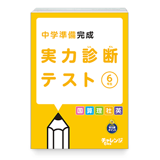 実力診断テスト