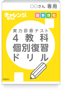 4教科個別復習ドリル
