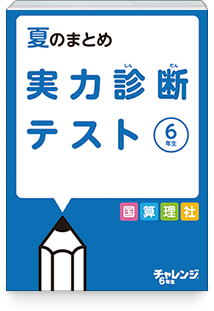 夏のまとめ 実力診断テスト