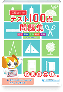100点問題集