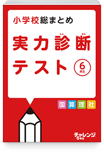 実力診断テスト