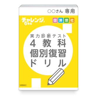 4教科個別復習ドリル