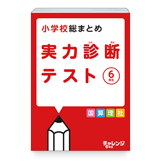 実力診断テスト