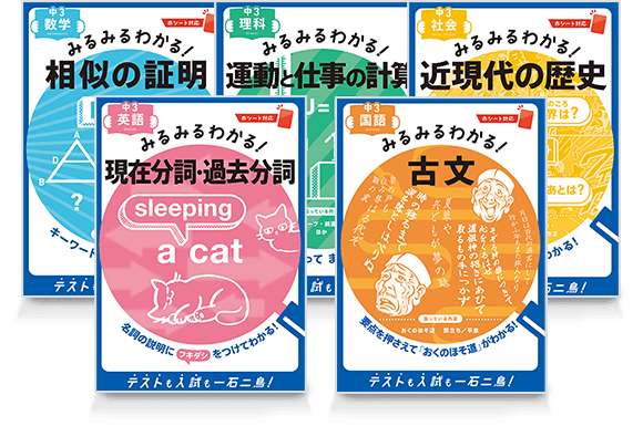 みるみるわかる!シリーズ